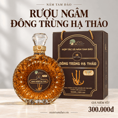 RƯỢU NGÂM ĐÔNG TRÙNG HẠ THẢO TAM ĐẢO – CHAI 500ML