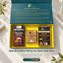 HỘP QUÀ ĐÔNG TRÙNG HẠ THẢO TAM ĐẢO – BỘ 3 SẢN PHẨM