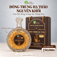 BÌNH ĐÔNG TRÙNG HẠ THẢO NGUYÊN KHỐI TAM ĐẢO