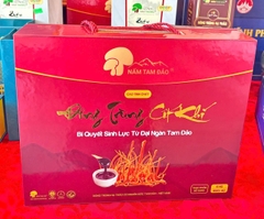 Cao lỏng Đông Trùng Cốt Khí (hộp 6 hũ x100gam) - Phú Thọ