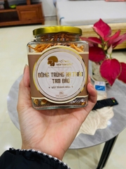 Đông Trùng Hạ Thảo Sấy Thăng Hoa ( 5gram, 10gram, 20gram) - Phú Thọ