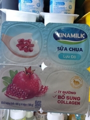 SCA VNM LỰU ĐỎ ÍT ĐƯỜNG 100G