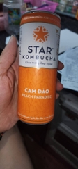 kombucha cam