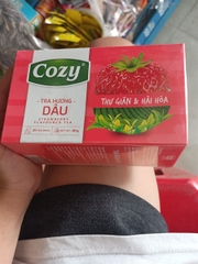 Trà Cozy hương dâu 20 túi