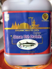 Amino Ocean Fish Protein 5L – Đạm Cá Hữu Cơ, Kích Rễ, Phục Hồi, Nuôi Trái