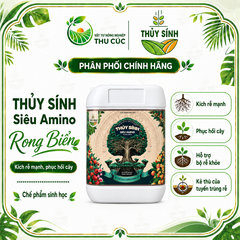 SIÊU AMINO RONG BIỂN THỦY SÍNH 4KG – KÍCH RỄ, PHỤC HỒI CÂY, DƯỠNG CÂY KHỎE