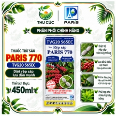 Paris 770 – Thuốc Trừ Sâu Rệp Sáp Cà Phê, Lưu Dẫn Hai Chiều