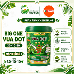 BIG ONE Vua Đọt 30-10-10 – Kích Đọt, Bung Chồi, Phục Hồi Cây