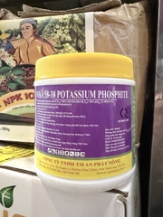 MKPI PHOSPHITE FLOWER 5838 – HỖ TRỢ GIÀ LÁ, CHẶN ĐỌT, TẠO MẦM HOA