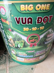 BIG ONE Vua Đọt 30-10-10 – Kích Đọt, Bung Chồi, Phục Hồi Cây