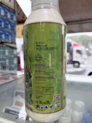 THỦY SÍNH 26 – CANXI BO, HỖ TRỢ DƯỠNG HOA – ĐẬU TRÁI – HẠN CHẾ RỤNG TRÁI NON