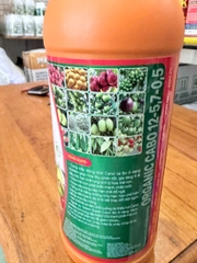 GREEN SUPER CANXI BO HỮU CƠ 500ML – CỨNG TRÁI, HẠN CHẾ RỤNG TRÁI NON