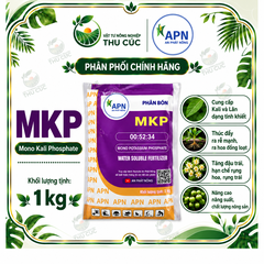 MKP ABIO 00-52-34 – MONO POTASSIUM PHOSPHATE, HỖ TRỢ GIÀ LÁ – PHÂN HÓA MẦM HOA