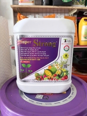 Super Strong Hữu Cơ Khoáng 6-6-6 Can 6kg – Kích Rễ, Bung Đọt