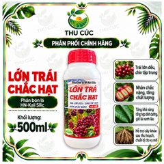 LỚN TRÁI CHẮC HẠT – PHÂN BÓN LÁ HN-KALI SILIC CHO CÀ PHÊ