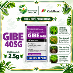 GIBE 40SG 2,5G – GIBBERELLIC ACID 40% ĐIỀU HÒA SINH TRƯỞNG CHO THANH LONG