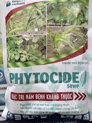 PHYTOCIDE 50WP – DIMETHOMORPH 50%, QUẢN LÝ PHYTOPHTHORA, SƯƠNG MAI VÀ BẠCH TẠNG