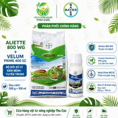 Bộ Đặc Trị Tuyến Trùng Velum Prime + Aliette 800WG Bayer – Bảo Vệ Bộ Rễ, Hỗ Trợ Phục Hồi Cây