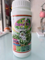 BIO 79 CANXI BO SỮA – HỖ TRỢ DƯỠNG BÔNG, ĐẬU TRÁI NON, HẠN CHẾ RỤNG TRÁI