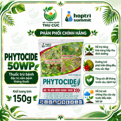 PHYTOCIDE 50WP – DIMETHOMORPH 50%, QUẢN LÝ PHYTOPHTHORA, SƯƠNG MAI VÀ BẠCH TẠNG