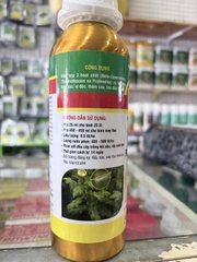 Ruồi Israel – Thuốc Trừ Sâu Phối Hợp 3 Hoạt Chất