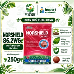 NORSHIELD 86.2WG – ĐỒNG TINH KHIẾT, HỖ TRỢ QUẢN LÝ RỈ SẮT CÀ PHÊ VÀ THÁN THƯ ĐIỀU