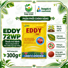 EDDY 72WP – HỖ TRỢ QUẢN LÝ PHYTOPHTHORA, VÀNG LÁ THỐI RỄ, CHẾT NHANH