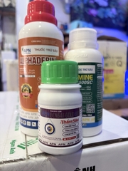 BỘ GIẢI PHÁP MỌT ĐỤC CÀNH CÀ PHÊ – ALPHADERIN + REDMINE + THẤM SÂU APN
