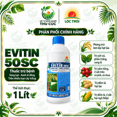 EVITIN 50SC – HEXACONAZOLE 50G/L – NỘI HẤP, LƯU DẪN, PHÒNG TRỪ NẤM BỆNH