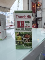 KH NO6 THANH HÀ 100ML – HỮU CƠ NANO, AMINO ACID – SEAWEED CHO CÂY ĂN TRÁI VÀ LÚA