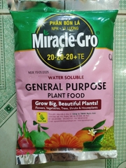 MIRACLE-GRO 20-20-20+TE – Phân Bón Lá NPK Đa Dinh Dưỡng, Hỗ Trợ Cây Sinh Trưởng