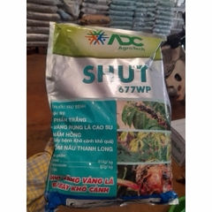 SHUT 677WP – ĐÁ BAY VÀNG LÁ, KHÔ CÀNH