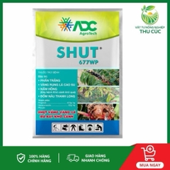 SHUT 677WP – ĐÁ BAY VÀNG LÁ, KHÔ CÀNH