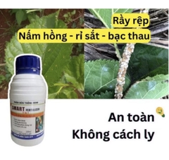 SMART FERTILIZER – PHÂN BÓN THÔNG MINH 2 TRONG 1 | CHAI 500ML
