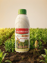 VALORA 46SC – THUỐC TRỪ CỎ RUỘNG NGÔ | CHAI 800ML