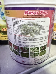 BOSA TOP – TẠO MẦM HOA, DÌU ĐỌT, GIÀ LÁ, HỖ TRỢ LÀM BÔNG