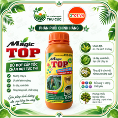 MAGIC TOP AV3-ZIN – DÌU ĐỌT, CHẶN ĐỌT, GIÀ LÁ NHANH