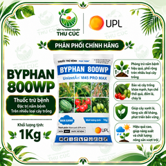 MAN XANH UPL – MANCOZEB 80% WP GÓI 1KG – THUỐC TRỪ BỆNH PHỔ RỘNG