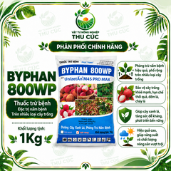 BYPHAN 800WP – MANCOZEB 800G/KG – PHÒNG NGỪA VÀ QUẢN LÝ NẤM BỆNH TRÊN CÂY TRỒNG