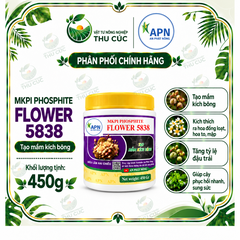 MKPI PHOSPHITE FLOWER 5838 – HỖ TRỢ GIÀ LÁ, CHẶN ĐỌT, TẠO MẦM HOA