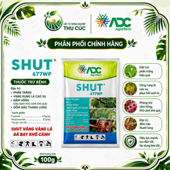 SHUT 677WP – ĐÁ BAY VÀNG LÁ, KHÔ CÀNH