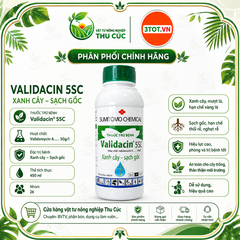 Validacin 5SL 450ml – Thuốc Trừ Bệnh Khô Vằn, Đổ Ngã Cây Con, Mốc Hồng