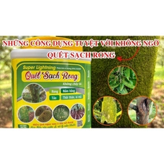 SUPER LIGHTNING “QUÉT SẠCH RONG” 3 TỐT 750G – HỖ TRỢ LÀM SẠCH RONG RÊU, HỖ TRỢ NẤM HỒNG XÌ MỦ