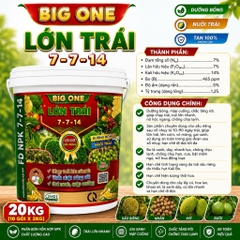 Phân Bón 3 TỐT BIG ONE Lớn Trái 7-7-14 – Nuôi Trái Nhanh, Gai Xanh Mập Cuống, Hạn Chế Đi Đọt – Dùng Cho Sầu Riêng