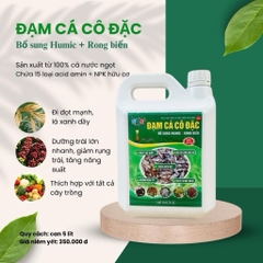 Đạm Cá Cô Đặc SBC Can 5L – Bổ Sung Humic & Rong Biển Cho Cây Trồng