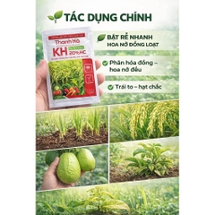 KH Thanh Hà 20% HC (10ml) – Bật rễ nhanh, kích hoa, phục hồi cây yếu