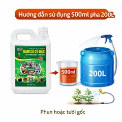 Đạm Cá Cô Đặc SBC Can 5L – Bổ Sung Humic & Rong Biển Cho Cây Trồng