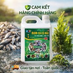 Đạm Cá Cô Đặc SBC Can 5L – Bổ Sung Humic & Rong Biển Cho Cây Trồng