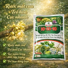 Phân A Ba Kích 10-55-10 + TE Kích Mầm Hoa Mạnh, Ra Hoa Đồng Loạt (1kg)