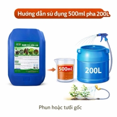 Đạm Cá Hữu Cơ SBC 20L – Kích Rễ Mạnh, Bật Mầm Nhanh, Xanh Cây, Nuôi Trái